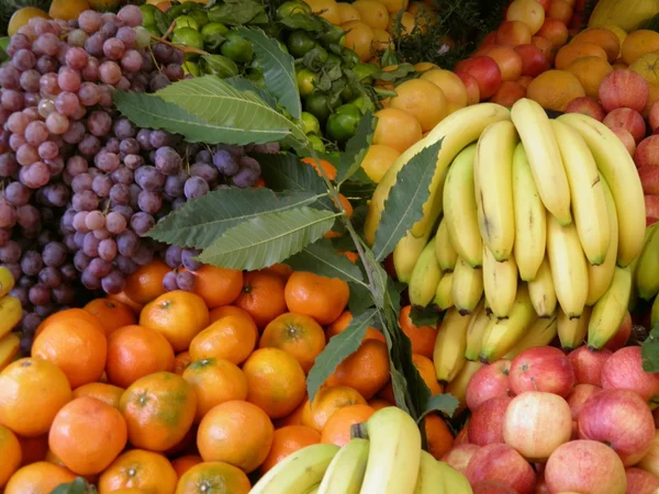 Diferentes Tipos Frutas Mostrador Mercado Útil Como Fondo — Foto de Stock