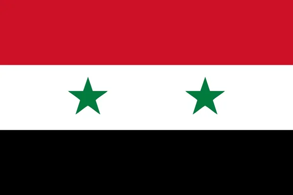 Syriska Flaggan Och Språk Ikonen Isolerade Illustration — Stockfoto