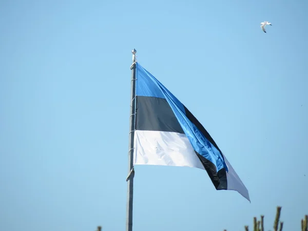 Bandera Estonia Sobre Cielo Azul — Foto de Stock