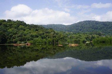 Perak, Malezya 'daki Taiping Gölü Bahçesi manzarası.