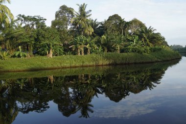 Su yüzeyinin sığ bir göldeki güzel manzarası 