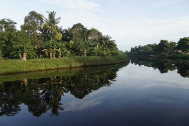 Su yüzeyinin sığ bir göldeki güzel manzarası 