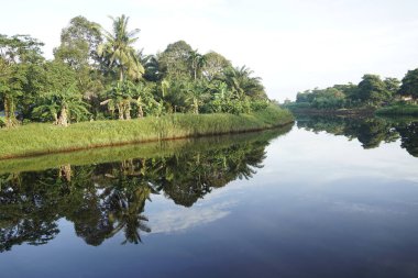 Su yüzeyinin sığ bir göldeki güzel manzarası 