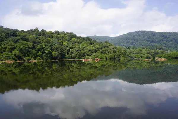 Γραφική Θέα Του Taiping Lake Garden Που Βρίσκεται Στο Perak — Φωτογραφία Αρχείου