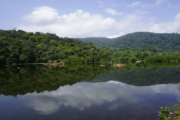 Γραφική Θέα Του Taiping Lake Garden Που Βρίσκεται Στο Perak — Φωτογραφία Αρχείου
