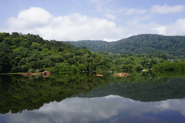 Γραφική Θέα Του Taiping Lake Garden Που Βρίσκεται Στο Perak — Φωτογραφία Αρχείου