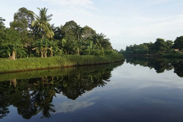 Su yüzeyinin sığ bir göldeki güzel manzarası 