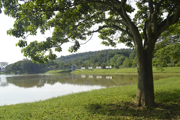 Kulim Kedah Malaisie Juin 2016 Vue Taman Tasik Putra Kulim — Photo