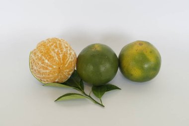 Turunçgil suhuiensis ya da beyaz arka planda izole edilmiş tatlı limonlar.