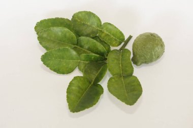 Beyaz arkaplanda kaffir limonu