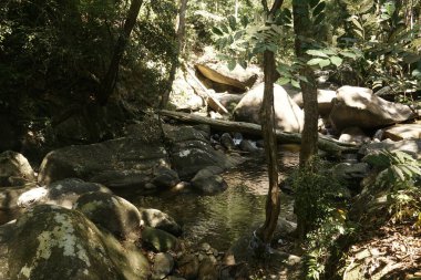 Malezya, Johor 'da bulunan Gunung Ledang şelalesinde büyük taşlı su akışı.