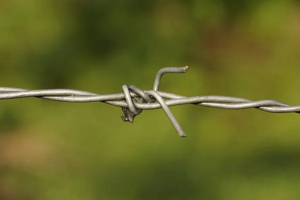 Hek Draad Kabel Het Veld — Stockfoto