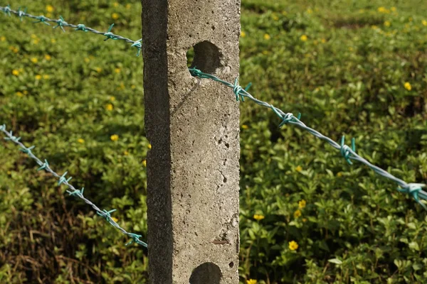 Kerítés Bezárása Kertben — Stock Fotó