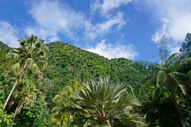 Tepenin ve ormanın üzerinde mavi gökyüzünün