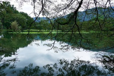 Perak, Malezya 'daki Taiping Gölü Bahçesi manzarası