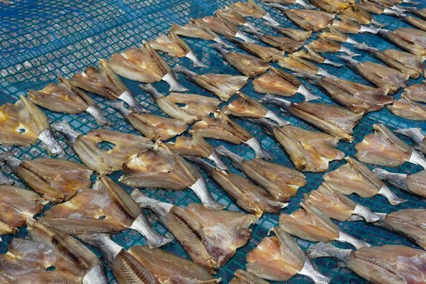 Pesce Salato Alla Luce Del Sole Pulau Aman Penang Malesia — Foto Stock