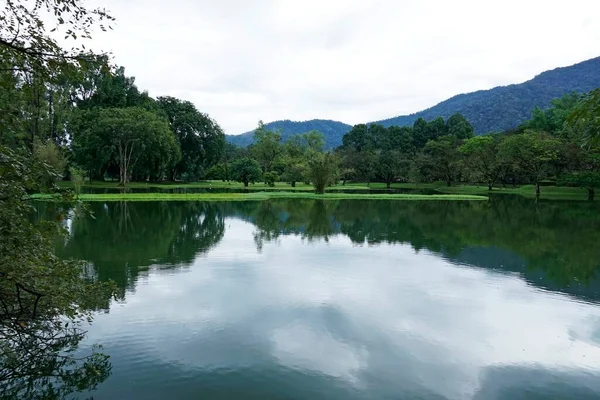 Vue Panoramique Sur Taiping Lake Garden Situé Perak Malaisie — Photo