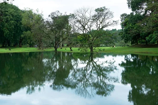 Vue Panoramique Sur Taiping Lake Garden Situé Perak Malaisie — Photo