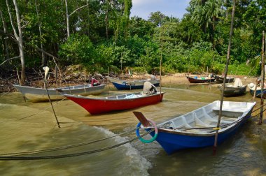 17 Ocak 2015, Malezya, Dickson Limanı. Balıkçı tekneleri sahile demir attı. 