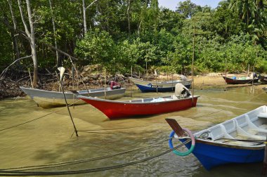 17 Ocak 2015, Malezya, Dickson Limanı. Balıkçı tekneleri sahile demir attı. 