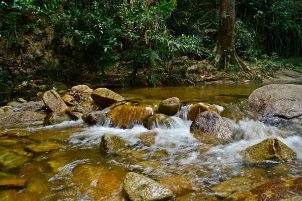 Gunung Ledang Şelalesinin Manzarası Johor Malezya — Stok fotoğraf