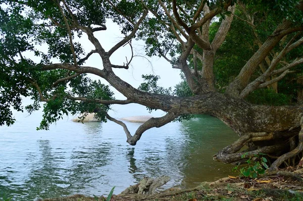 Tanjung Bidara Sahilinin Manzarası Melaka Malezya — Stok fotoğraf