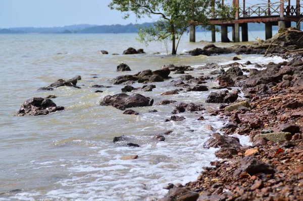 Plage Arbres Morts Pierres Située Port Dickson Negeri Sembilan Malaisie — Photo