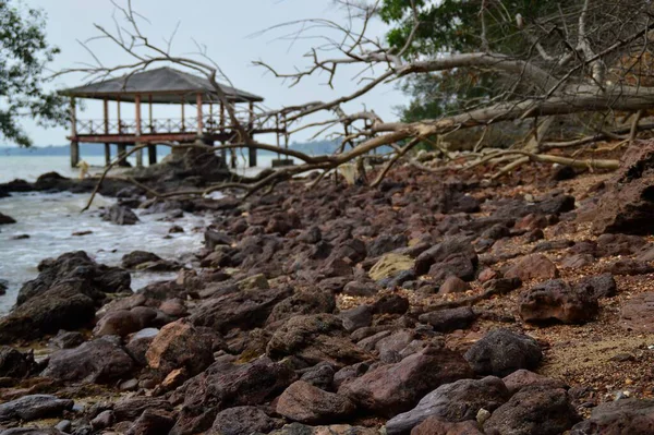 Strand Med Döda Träd Och Stenar Belägen Port Dickson Negeri — Stockfoto