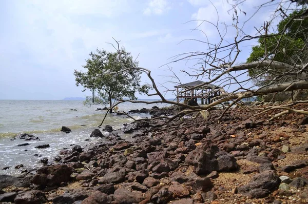 Playa Árboles Piedras Muertas Ubicada Port Dickson Negeri Sembilan Malasia — Foto de Stock