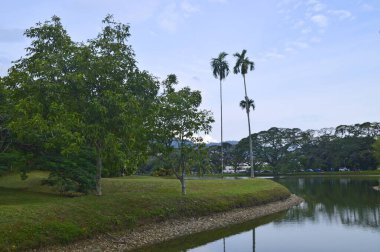 Taiping Gölü Bahçesi, Perak, Malezya manzarası