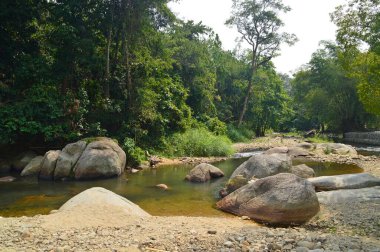 Janda Baik nehri manzarası, Bentong bölgesi, Pahang, Malezya