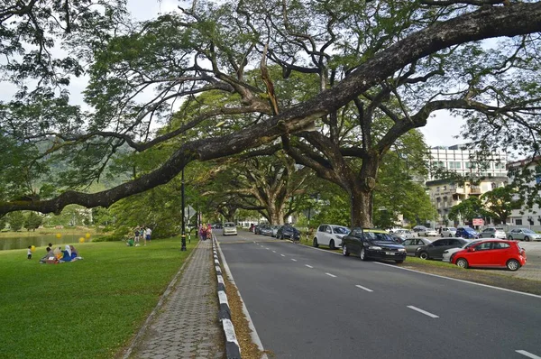 Taiping Gölü Bahçesi Perak Malezya Manzarası — Stok fotoğraf