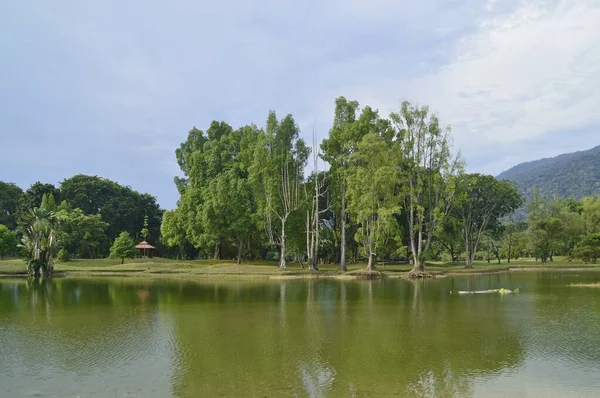 Vue Panoramique Sur Nature Taiping Lake Garden Perak Malaisie — Photo