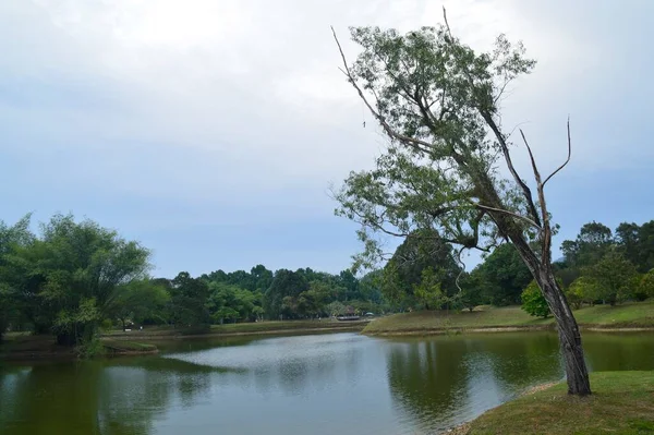 马来西亚霹雳台坪湖花园的自然景观 — 图库照片
