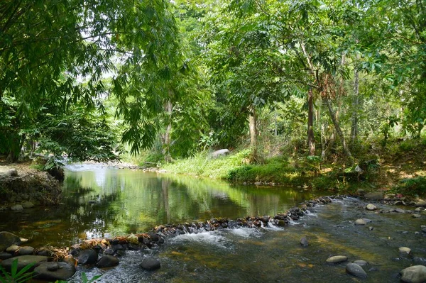 Janda Baik Nehri Manzarası Bentong Bölgesi Pahang Malezya — Stok fotoğraf