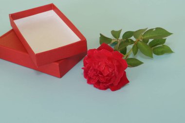 Mavi arka planda kırmızı gül ve hediye kutusu