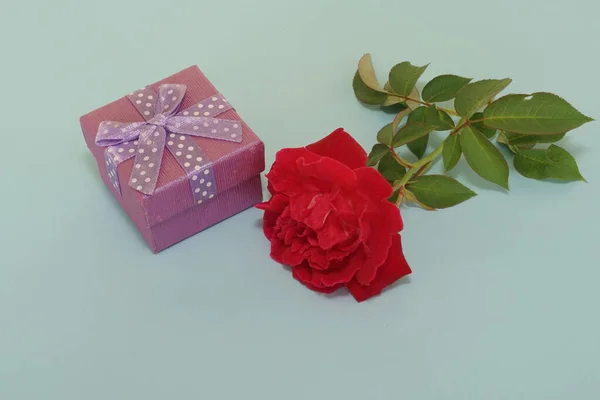 Červená Růže Květina Dárkovou Krabičkou — Stock fotografie