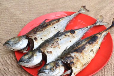 Tabakta ızgara balığı