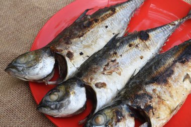 Tabakta ızgara balığı