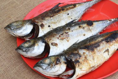 Tabakta ızgara balığı