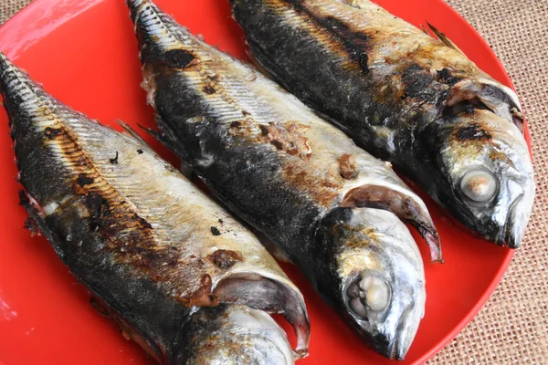 Parrilla Pescado Plato — Foto de Stock