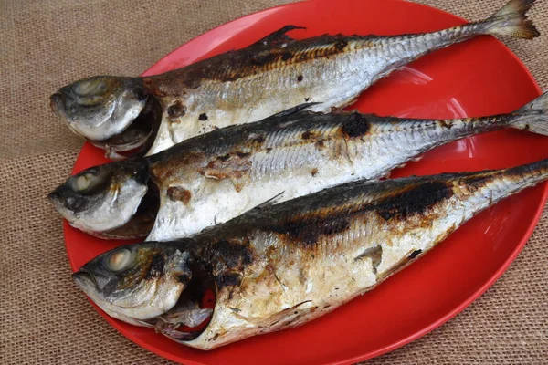 Griller Poisson Sur Assiette — Photo