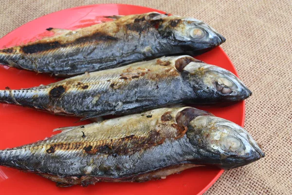 Pesce Alla Griglia Sul Piatto — Foto Stock