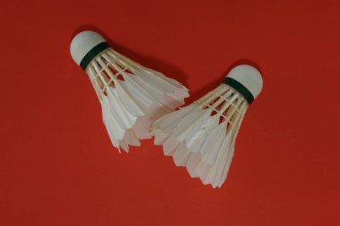 Kırmızı arkaplanda mekiklerin horozu