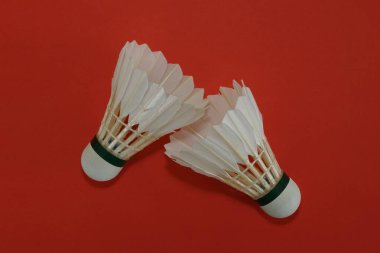Kırmızı arkaplanda mekiklerin horozu