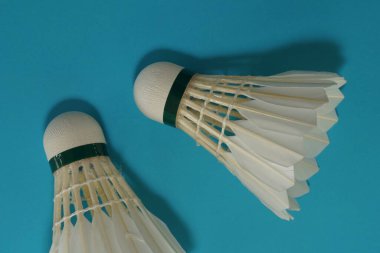 Mavi arka planda mekik horozları