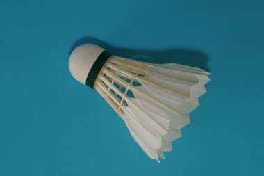 Mavi arka planda mekik horozu