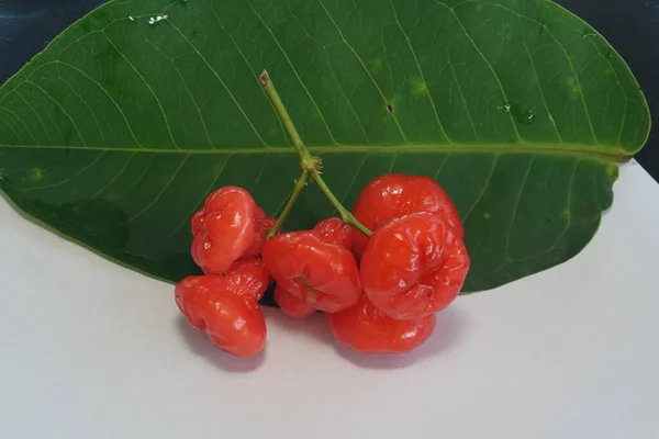 Rote Rose Apfelfrüchte Isoliert Auf Weißem Hintergrund — Stockfoto