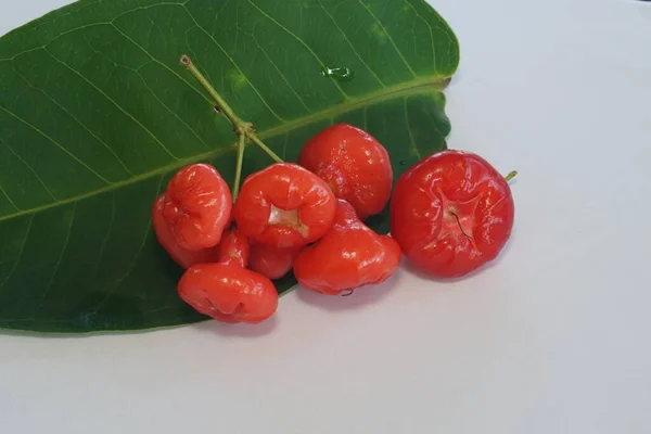 Rote Rose Apfelfrüchte Isoliert Auf Weißem Hintergrund — Stockfoto