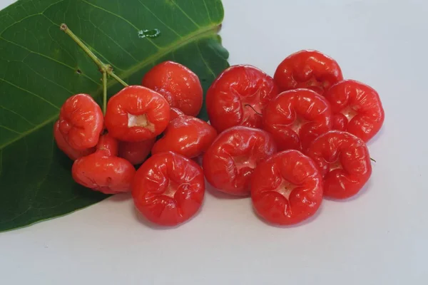 Rote Rose Apfelfrüchte Isoliert Auf Weißem Hintergrund — Stockfoto